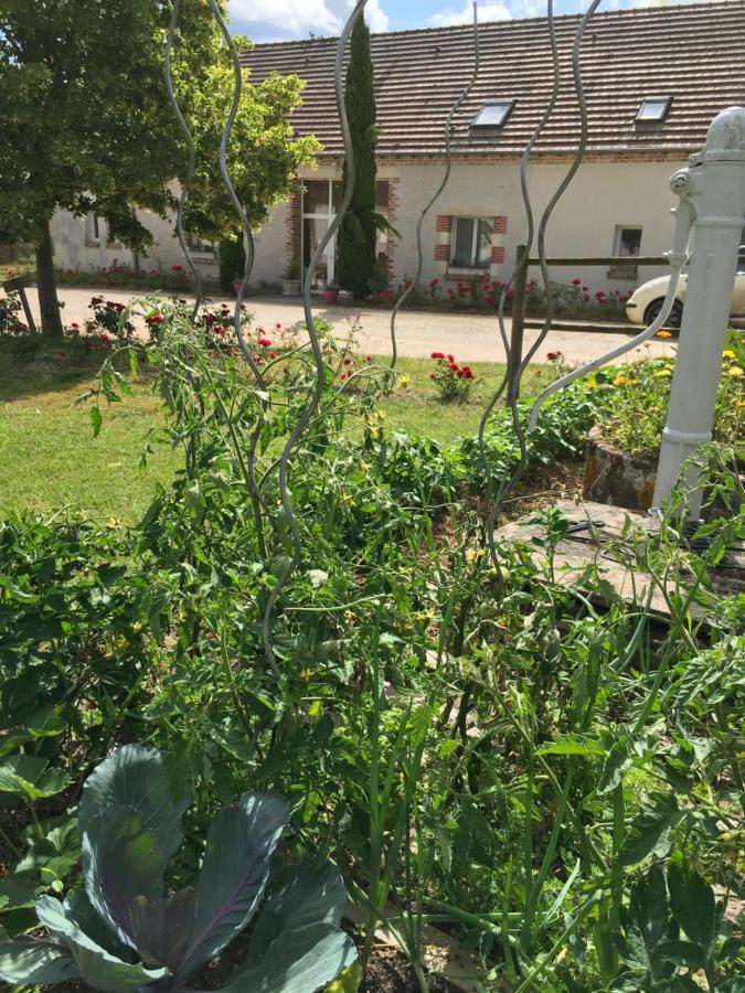 לינה וארוחת בוקר Thoury La Ferme De La Maugerie מראה חיצוני תמונה