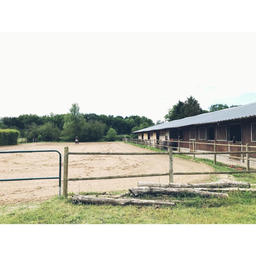לינה וארוחת בוקר Thoury La Ferme De La Maugerie מראה חיצוני תמונה